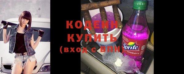 молекула духа Майский