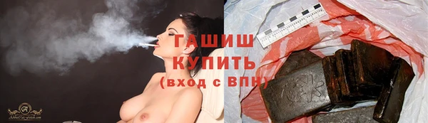 шишки Медвежьегорск