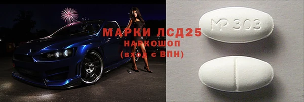 шишки Медвежьегорск