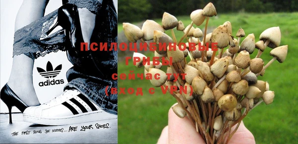 меф Мегион