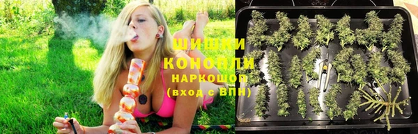 крисы Медногорск