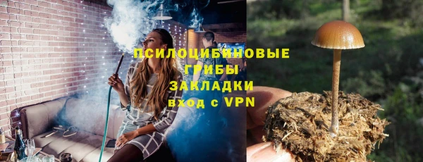 молекула духа Майский