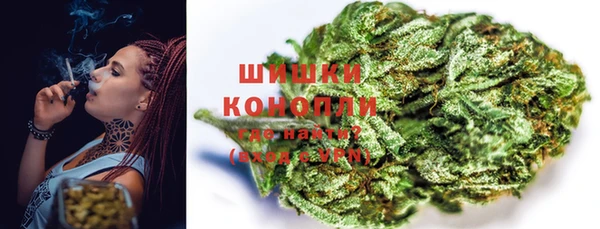 шишки Медвежьегорск