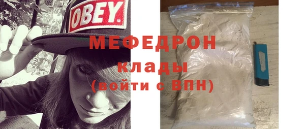 шишки Медвежьегорск