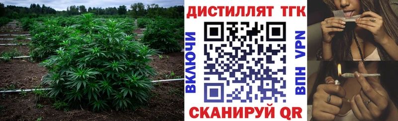 ТГК Wax  Макушино 